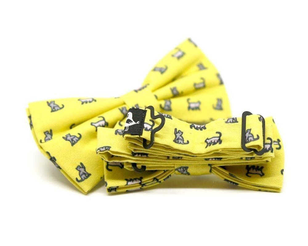 Pajarita Gatos Niño