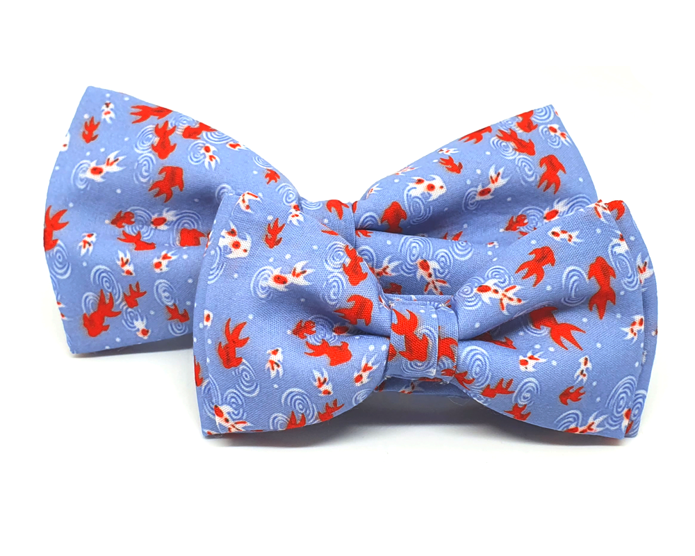 Pajarita peces de colores