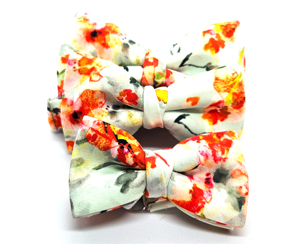 Pajarita Flores con fondo azul claro