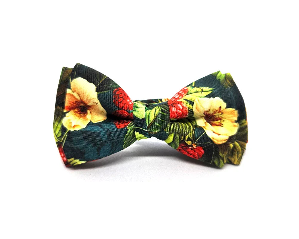 Pajarita Frambuesas 🆕 - Pitas, Pitas Pajaritas | Pajaritas originales y muy frikis