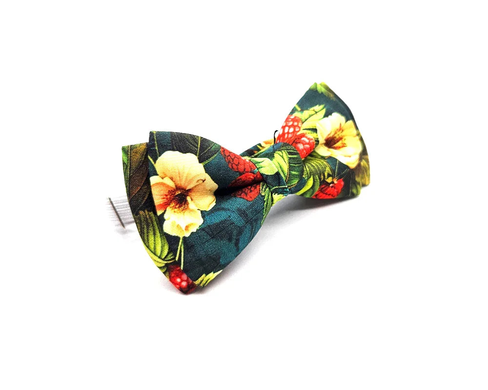 Pajarita Frambuesas 🆕 - Pitas, Pitas Pajaritas | Pajaritas originales y muy frikis