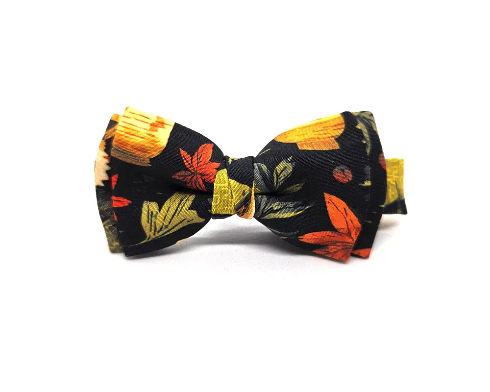 Pajarita Mapaches en Otoño 🆕