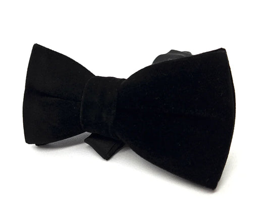 Pajarita Terciopelo Negro