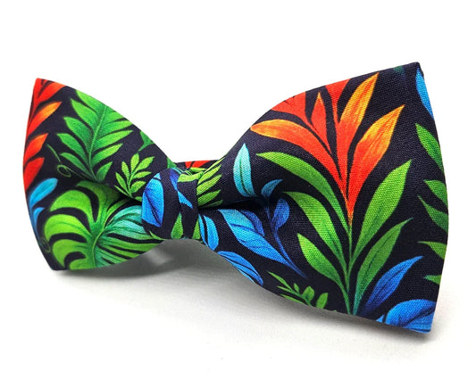 Pajarita Selva 🆕 - Pitas, Pitas Pajaritas | Pajaritas originales y muy frikis